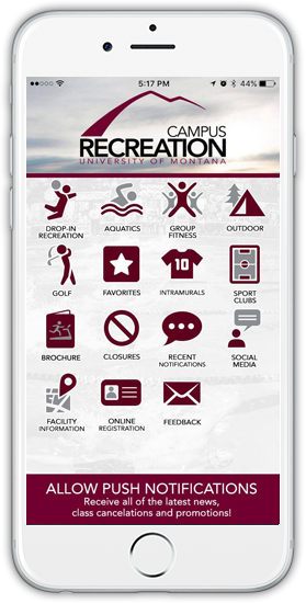 A screenshot of our app.